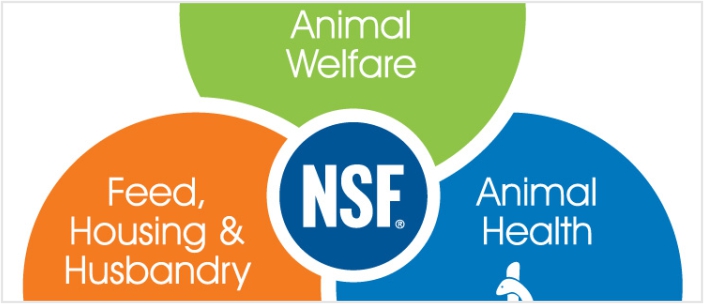 NSF International Introduces Global Animal Wellness Standards